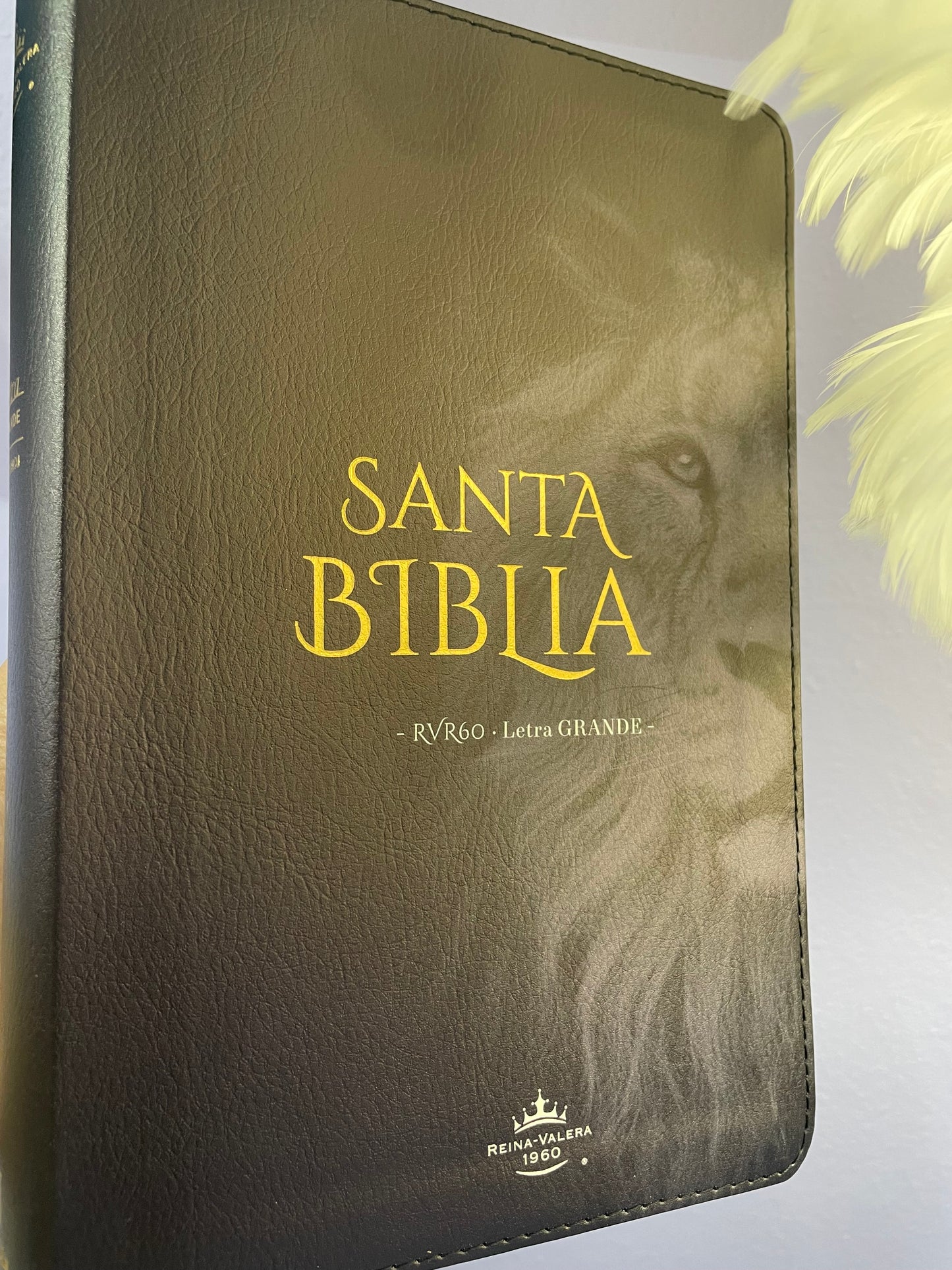 Santa Biblia