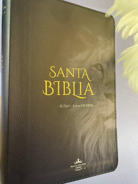 Santa Biblia