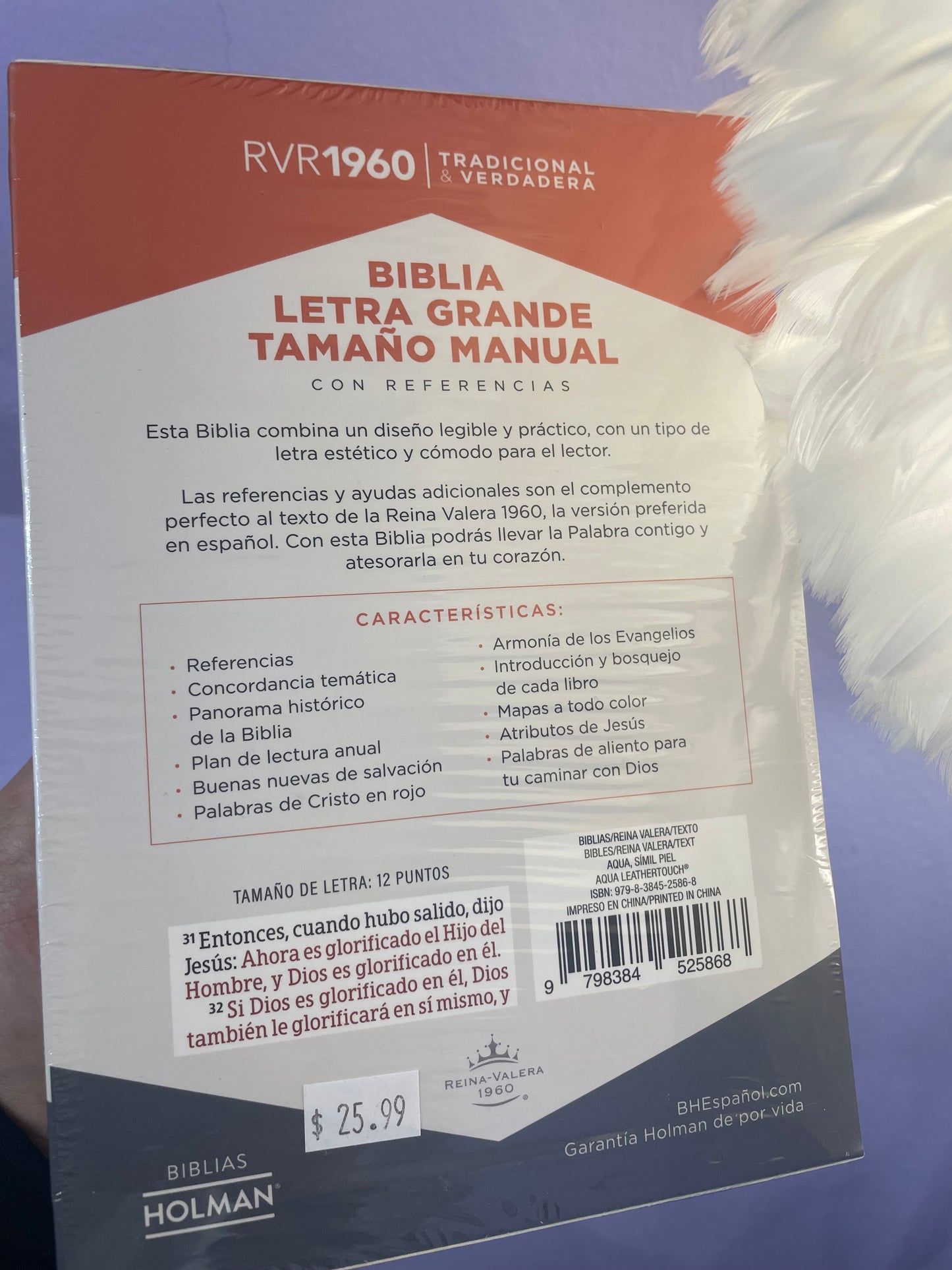 BIBLIA AZUL CIELO Y TULIPANES