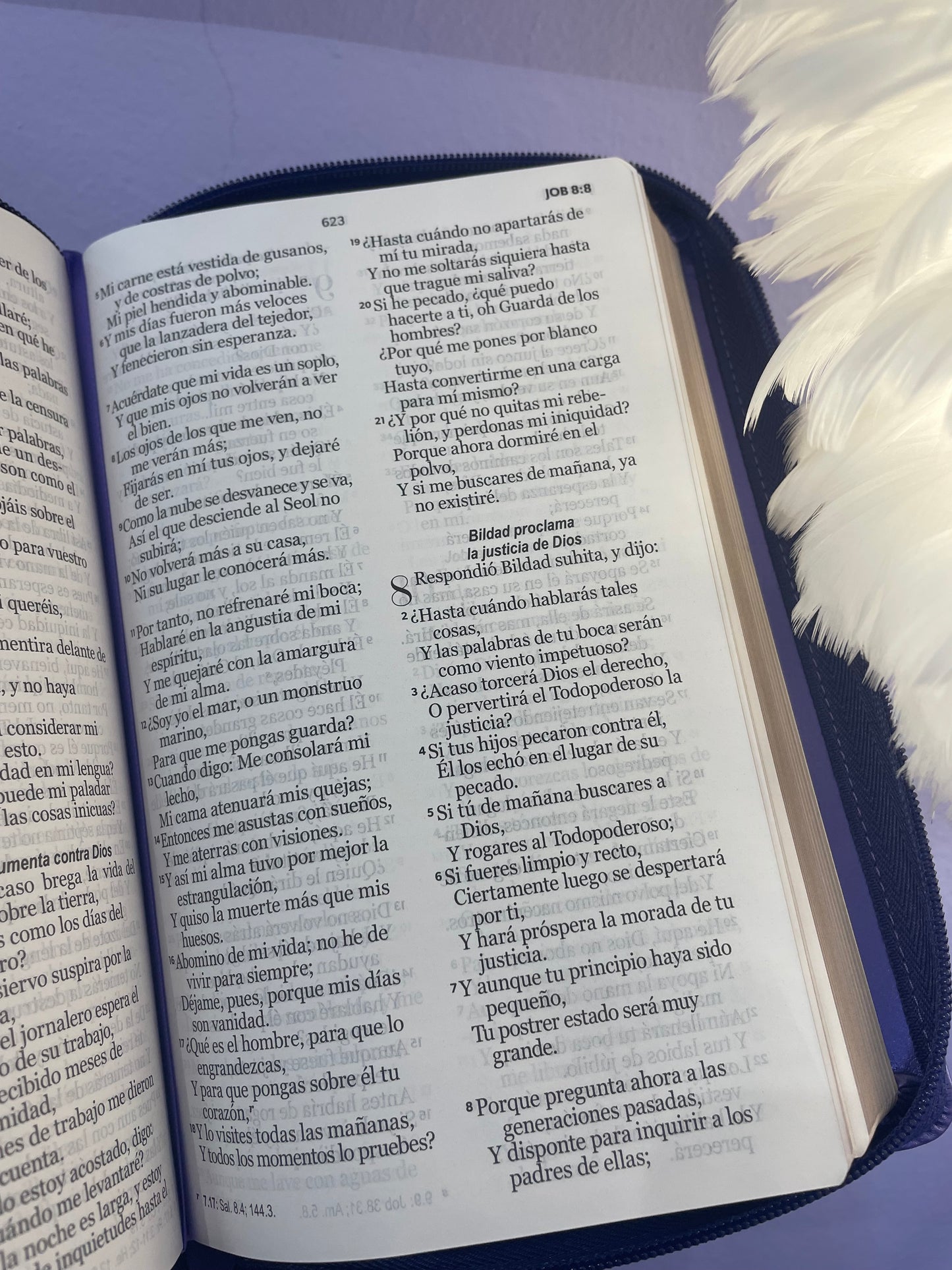BIBLIA VIOLETA METALICA