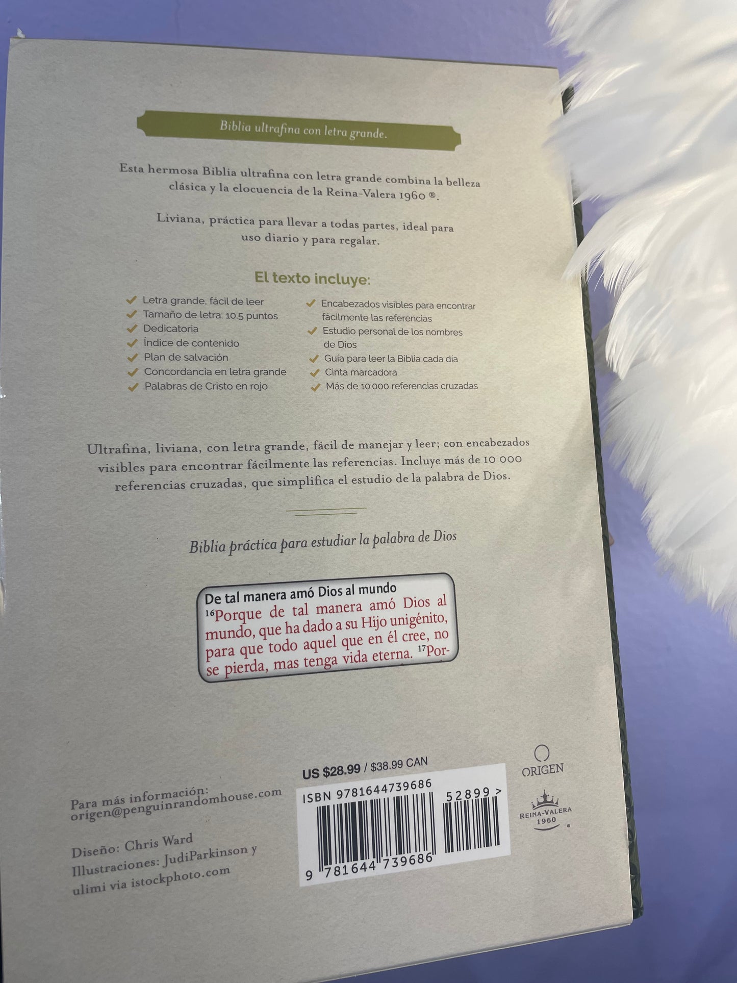 BIBLIA VERDE OLIVO