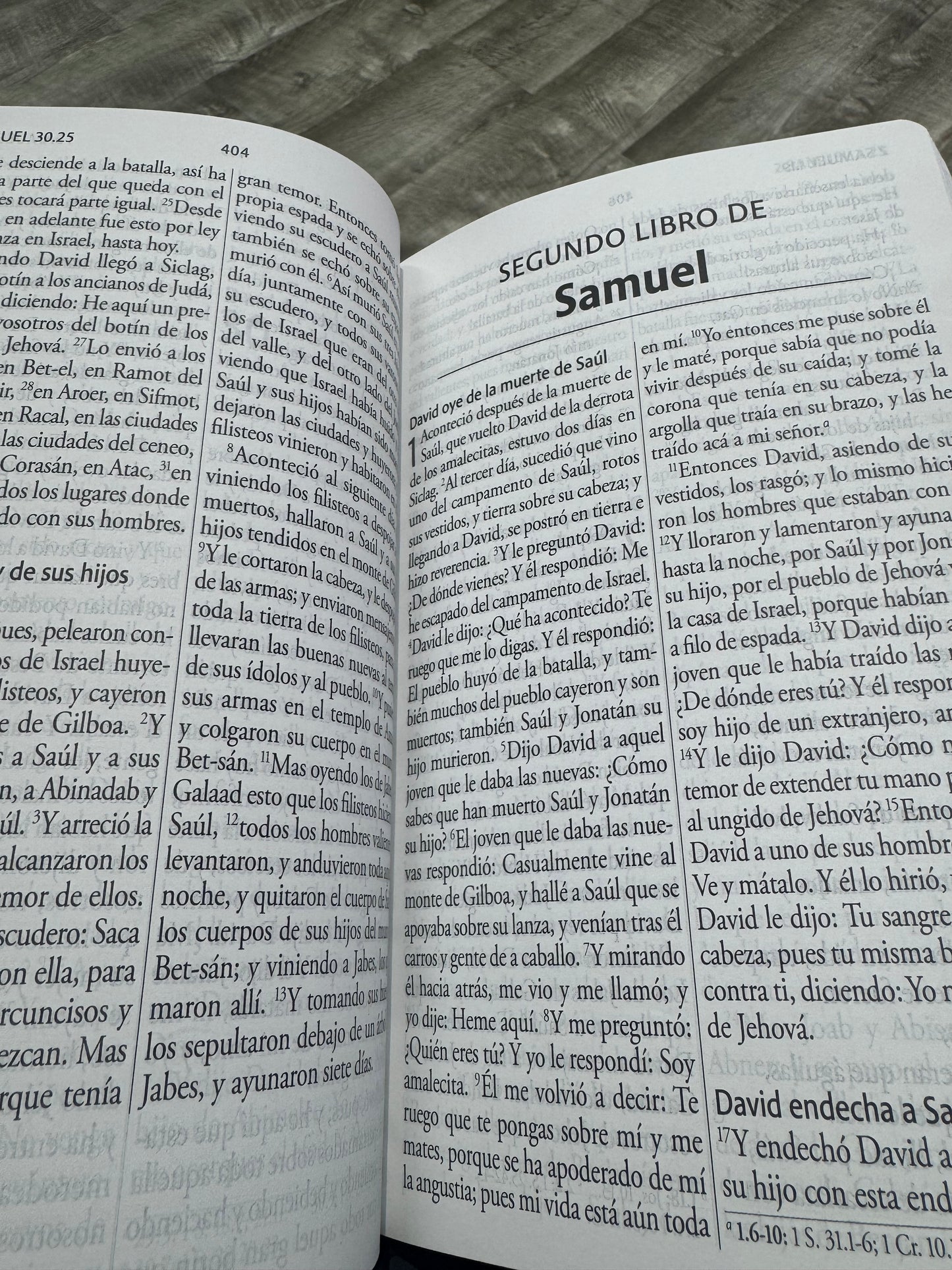 Biblia letra grande tamaño manual