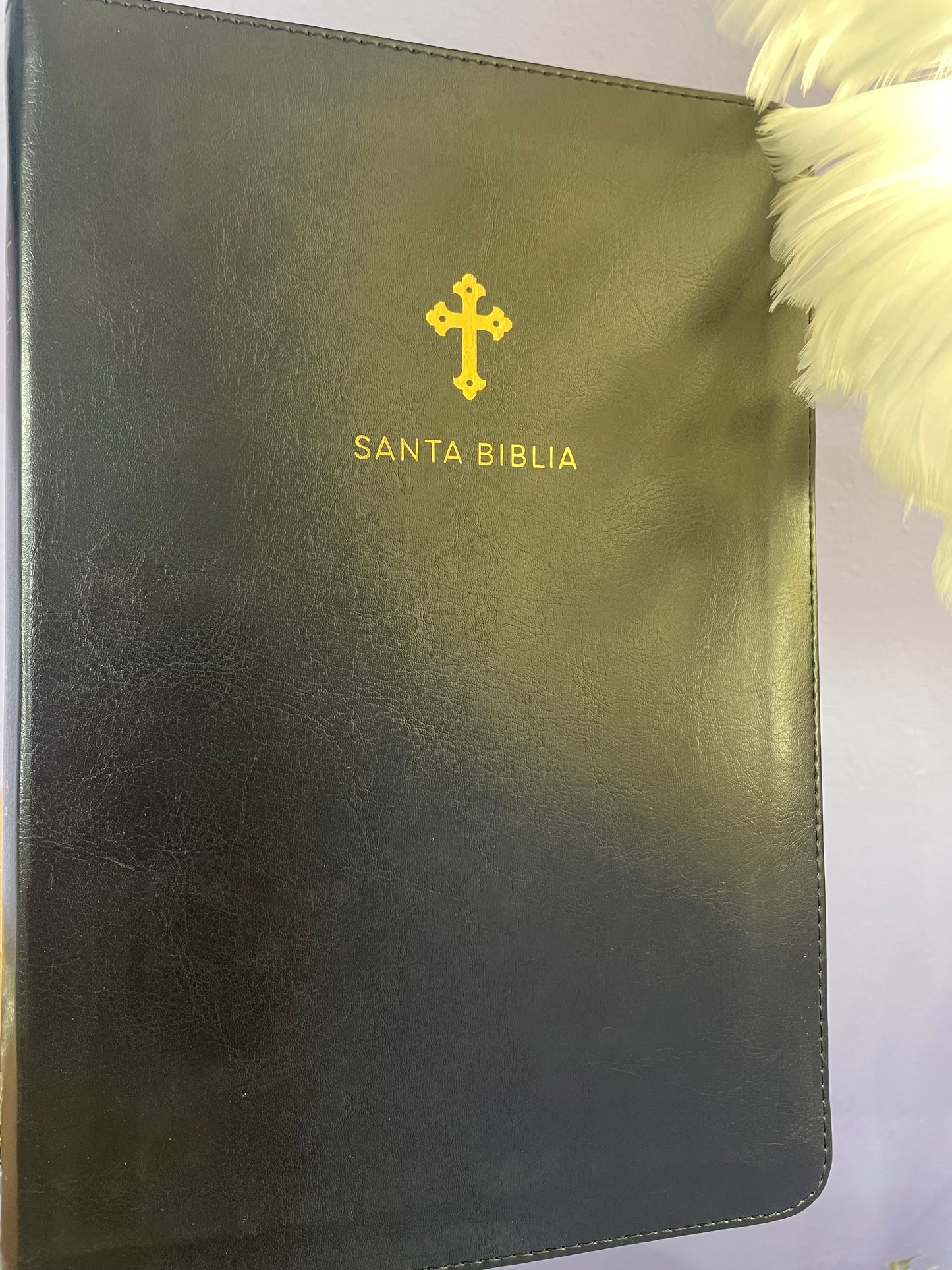 Santa Biblia