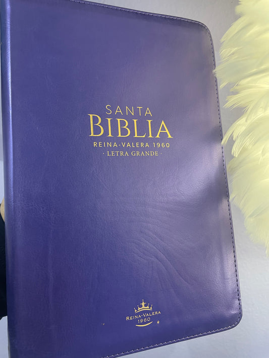 BIBLIA VIOLETA METALICA