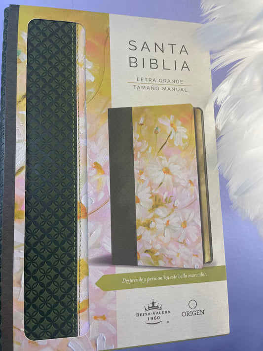 BIBLIA VERDE OLIVO