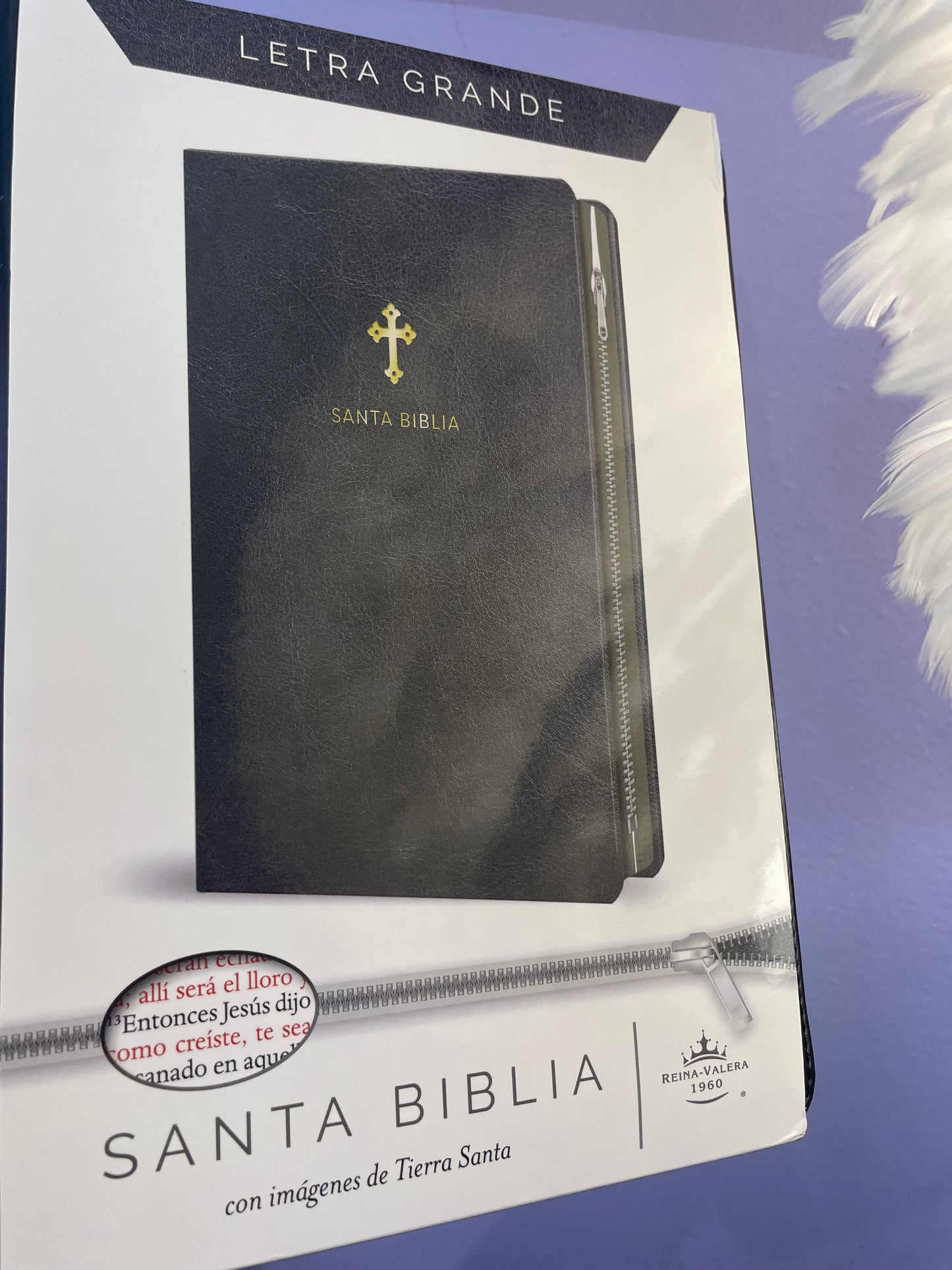 Santa Biblia