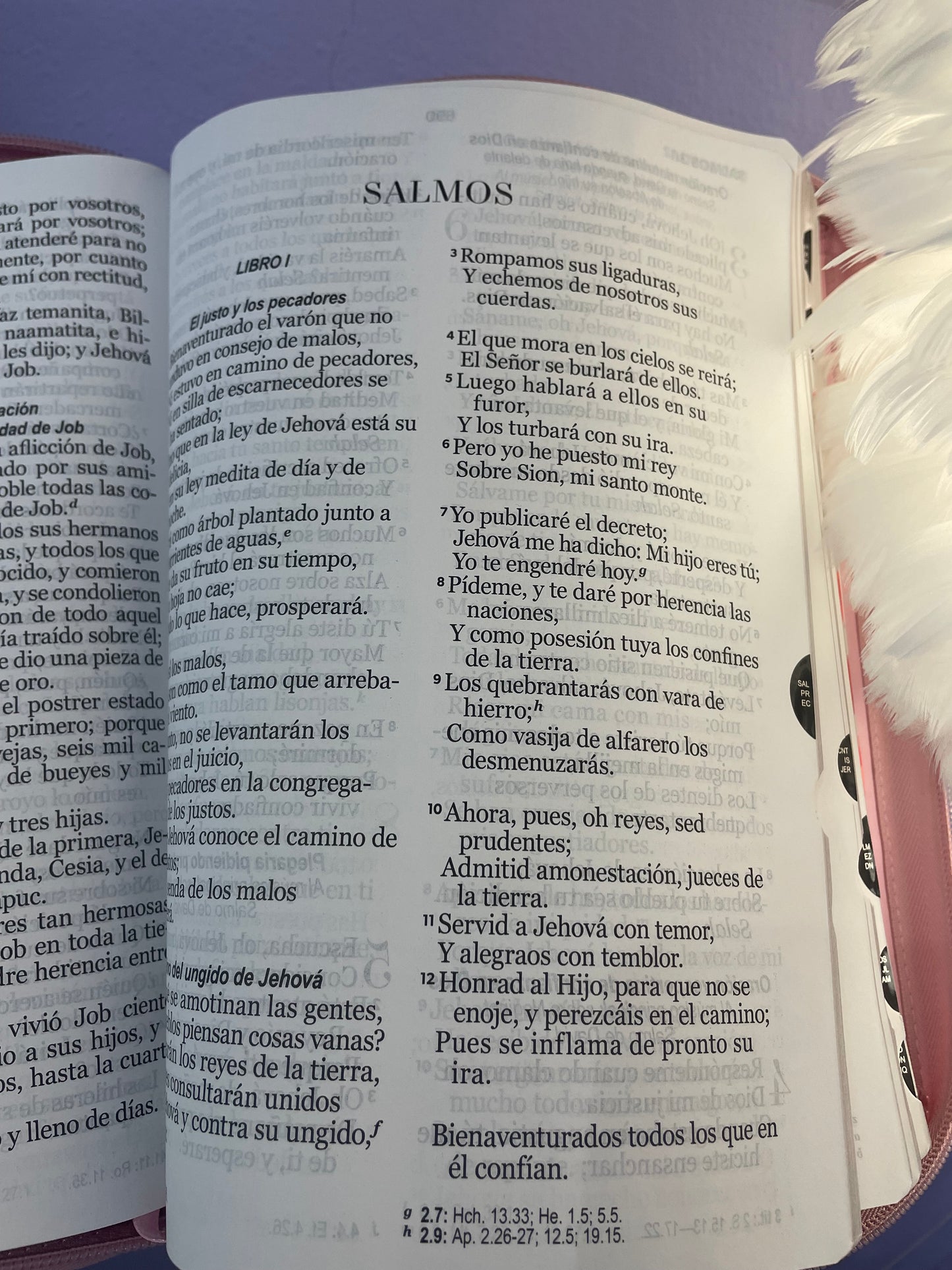 BIBLIA ROSA