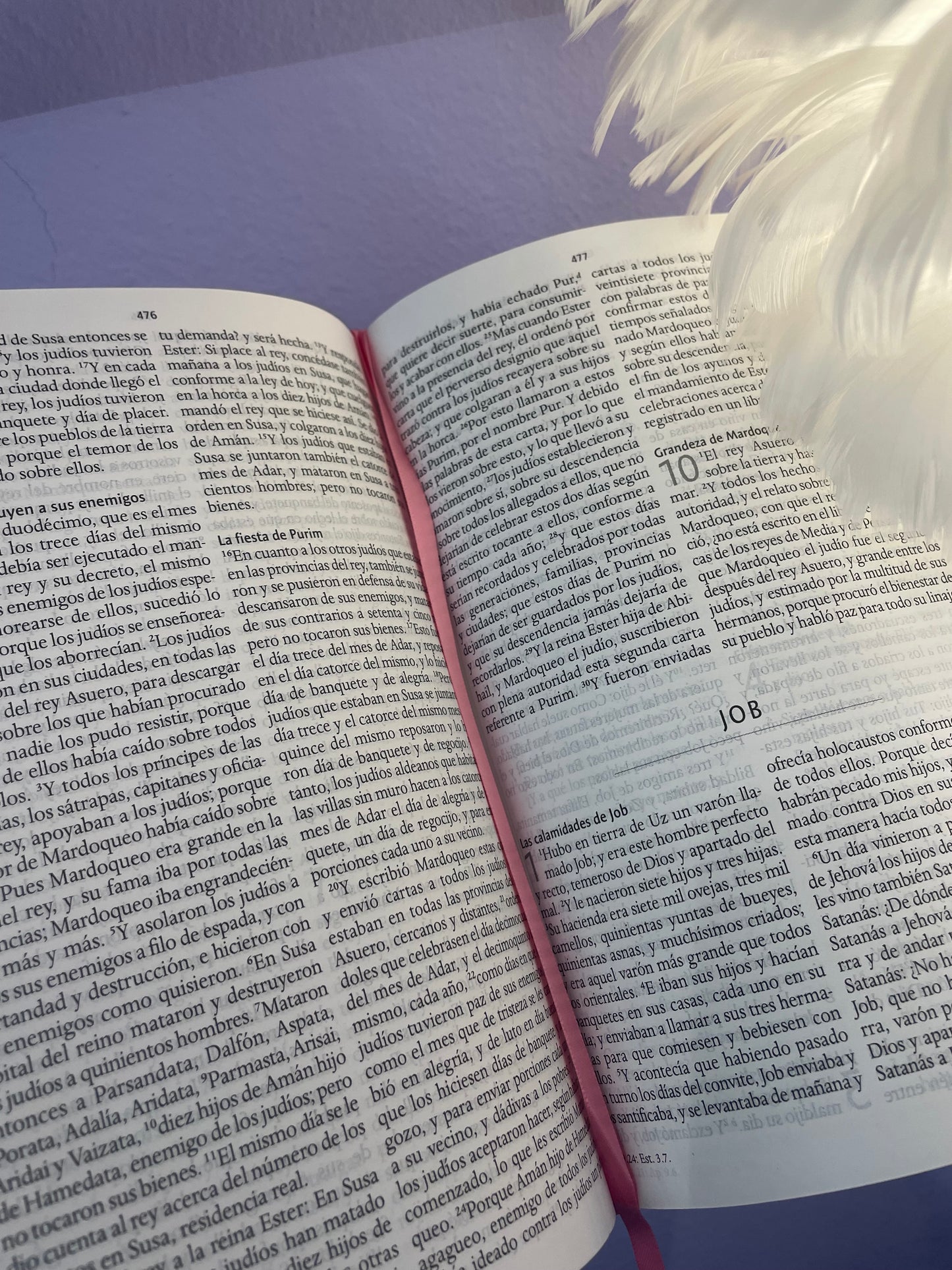 BIBLIA ROSITA CON FLORES