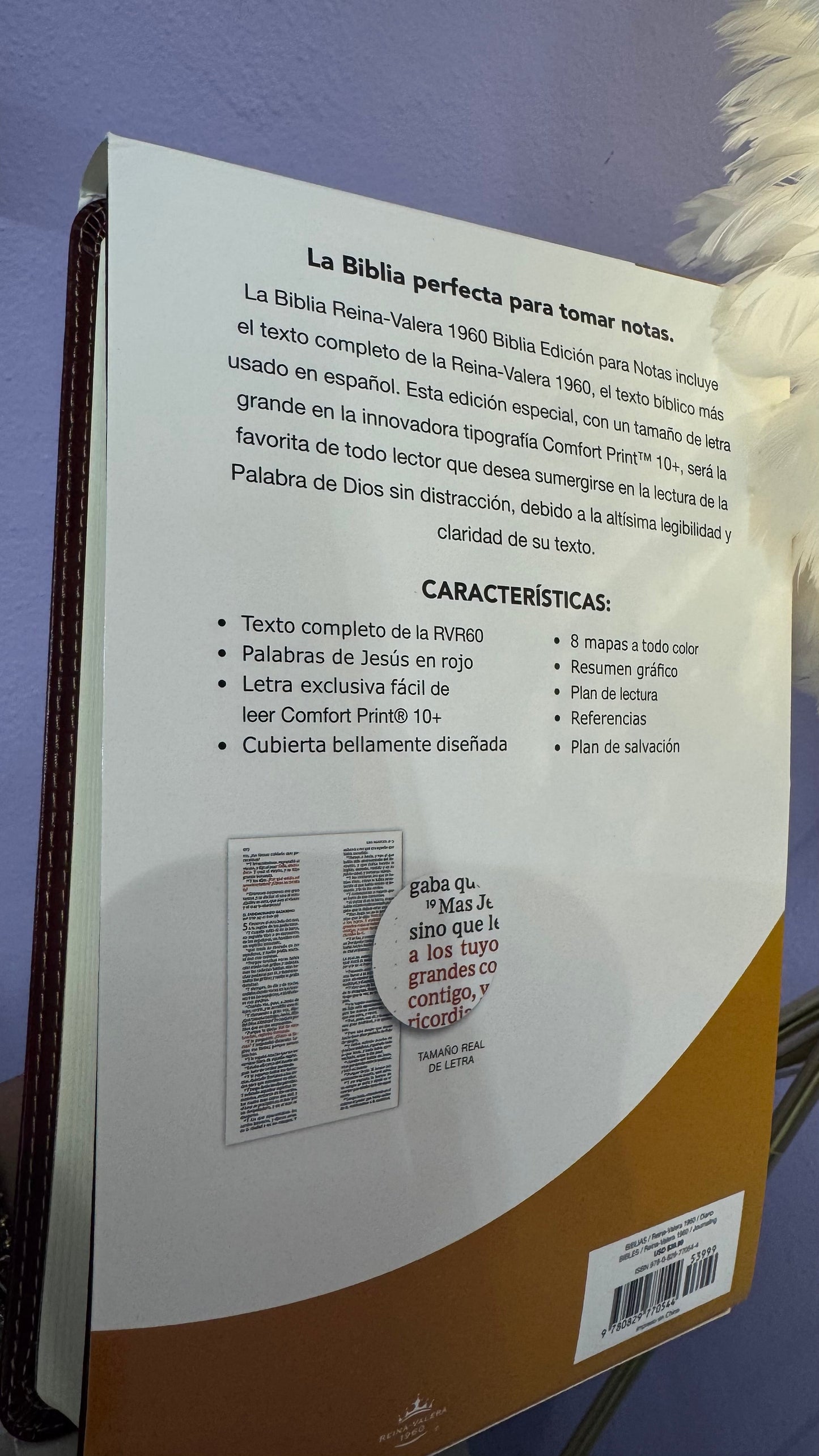 Biblia Edición para notas