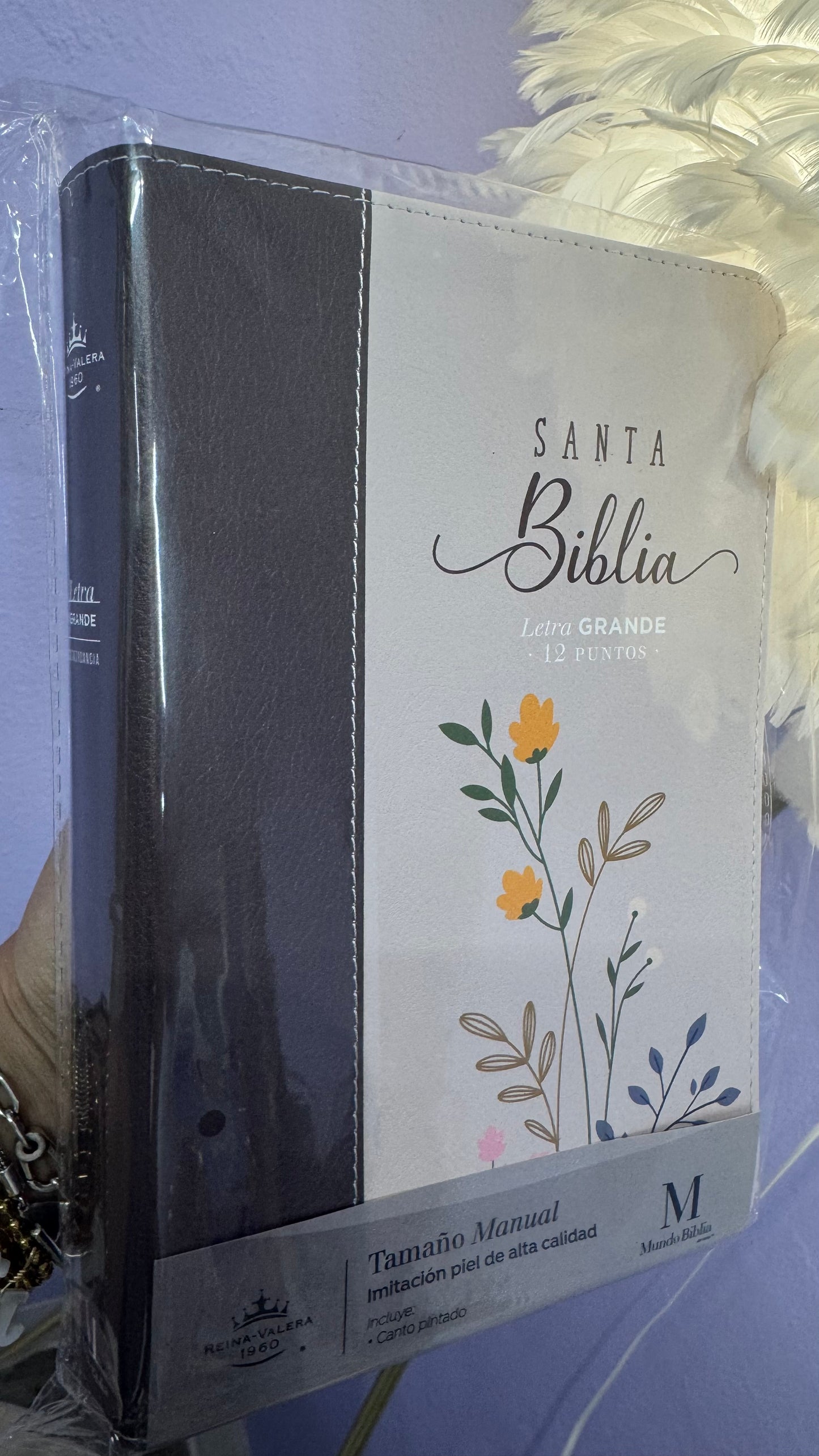 Santa Biblia