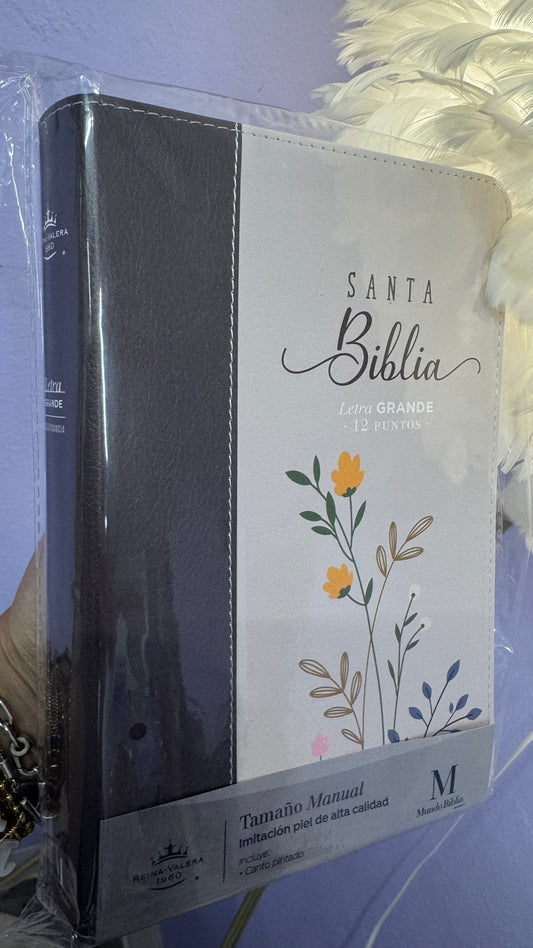 Santa Biblia