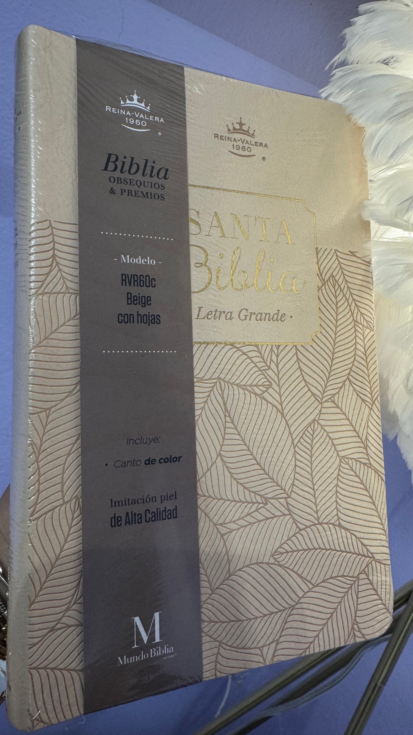 Santa Biblia