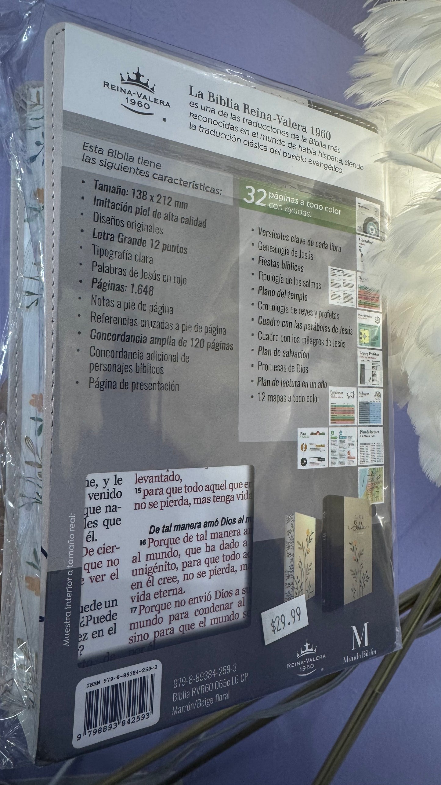 Santa Biblia