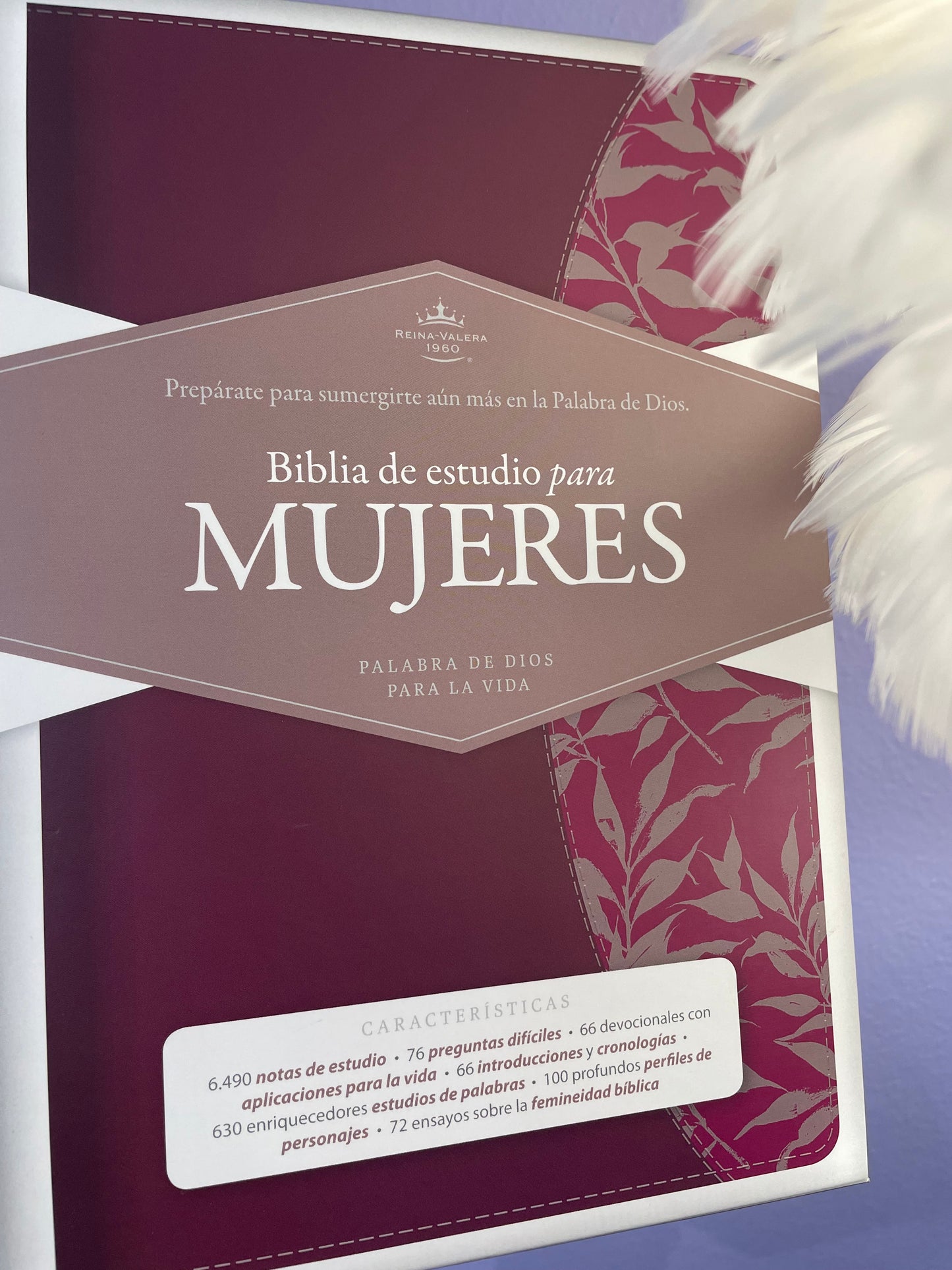 Biblia de Estudio para mujeres