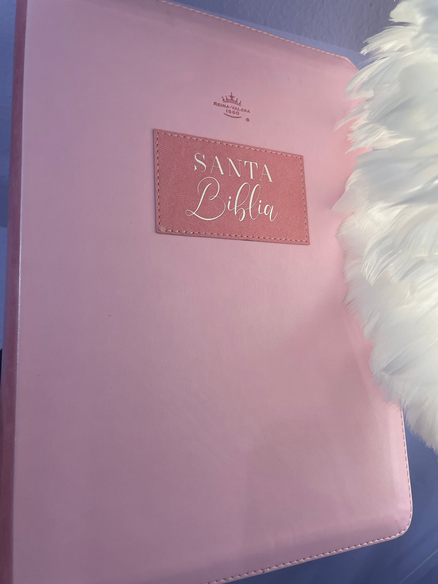 BIBLIA ROSA