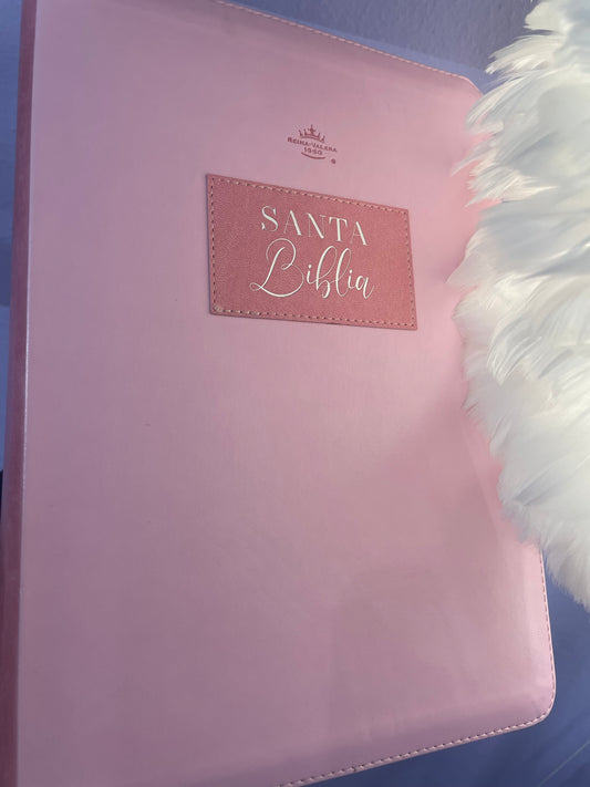 BIBLIA ROSA