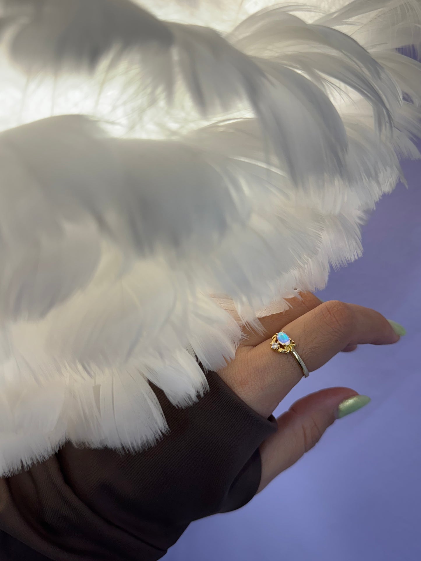 🦀Anillo🦀