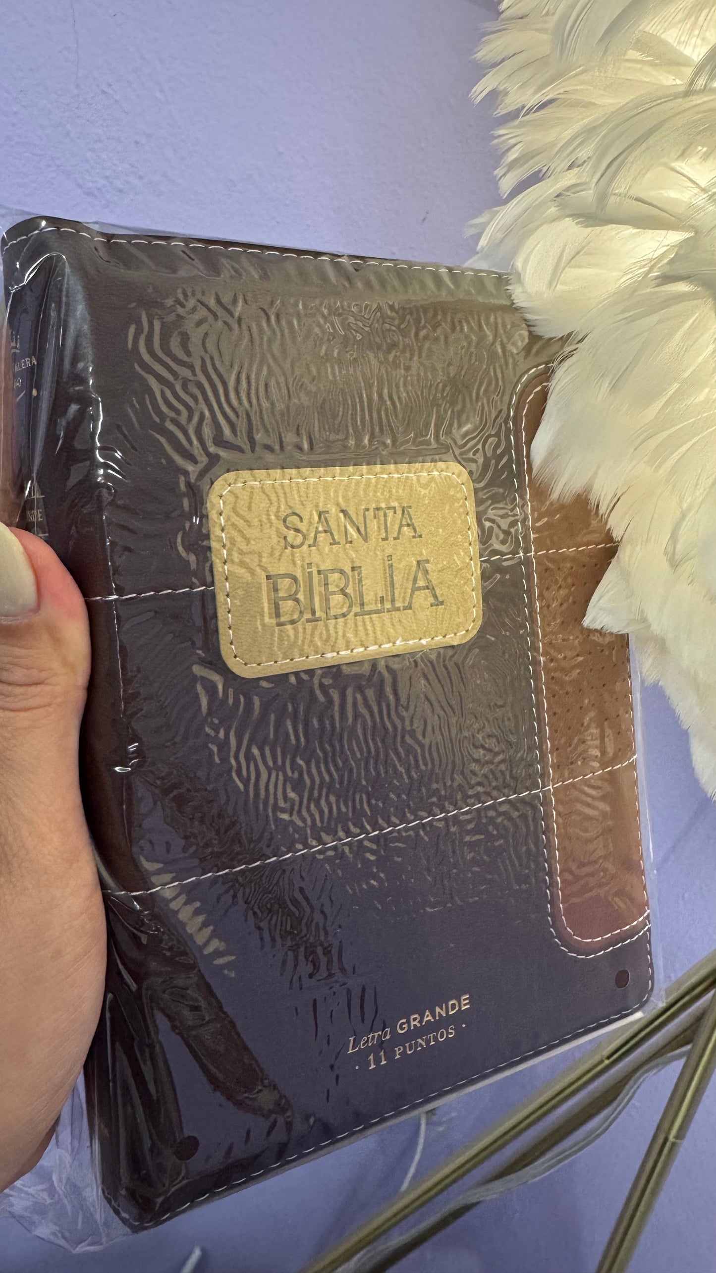 Biblia Marron cuero imitación